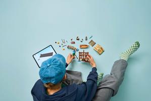 Набор LEGO Windmill Village Hut