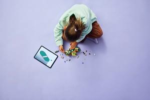 Набор LEGO Elphaba's Retreat