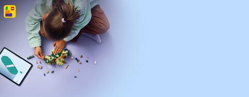 Набор LEGO Elphaba's Retreat