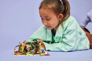 Набор LEGO Elphaba's Retreat