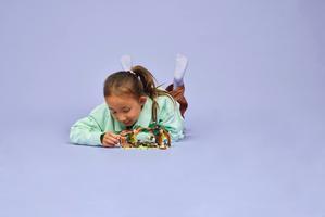 Набор LEGO Elphaba's Retreat