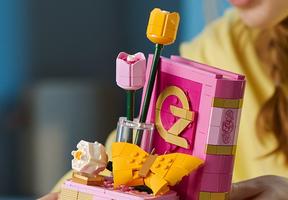 Набор LEGO Glinda & Elphaba Bookends