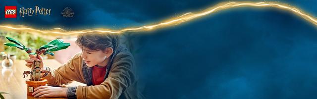 Набор LEGO Mandrake