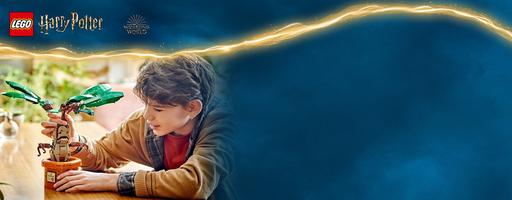 Набор LEGO Mandrake