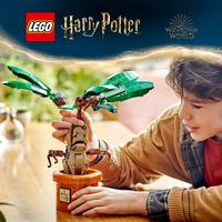 Набор LEGO Mandrake