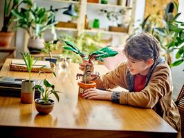 Набор LEGO Mandrake