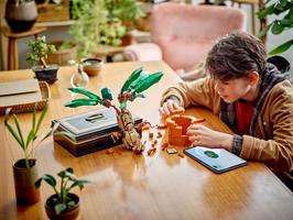 Набор LEGO Mandrake