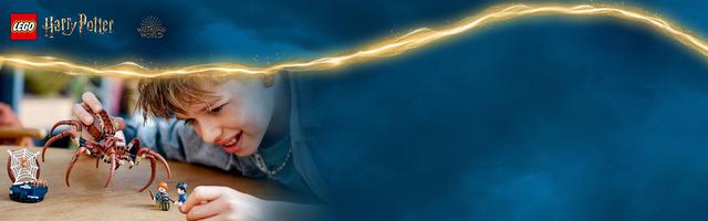 Набор LEGO Aragog in the Forbidden Forest