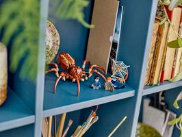 Набор LEGO Aragog in the Forbidden Forest