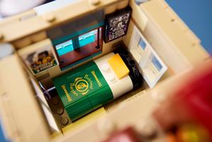 Набор LEGO The Burrow – Collectors' Edition