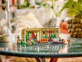 Набор LEGO Hogwarts Castle: Herbology Class