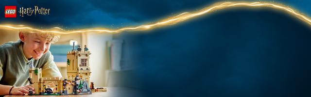 Набор LEGO Hogwarts Castle: Flying Lessons