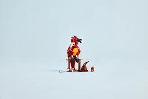 Набор LEGO Fawkes: Dumbledore's Phoenix