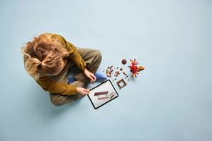 Набор LEGO Fawkes: Dumbledore's Phoenix