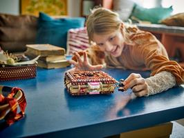 Набор LEGO Chomping Monster Book of Monsters