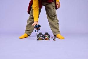 Набор LEGO Black Dahlia Flower