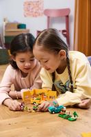 Набор LEGO Leif's Caravan & Garden Shop