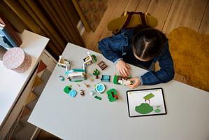 Набор LEGO Blathers's Museum Collection