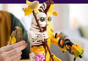 Набор LEGO Peely Bone