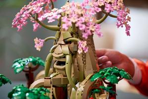 Набор LEGO Great Deku Tree 2-in-1