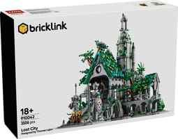 Набор LEGO Lost City