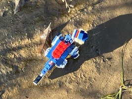 Набор LEGO 31088 Ferox (Arctopinnatus ferox)