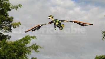 Набор LEGO 31121 + 31129 Colossal Seratorn (Xenocondylus insignis)