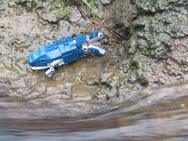 Набор LEGO 31088 Wandering Whelican (Pistriloligops itinerantus)
