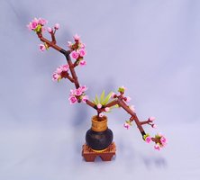 Набор LEGO MOC-190790 Pink Cherry Blossom in Vase
