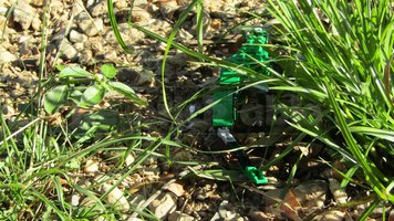 Набор LEGO 31058 Megalania (Varanus priscus) 1:27 scale