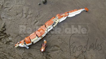 Набор LEGO MOC-191252 31150 Basilosaurus cetoides