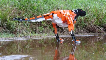 Набор LEGO 31129 Skorpiovenator bustingorryi 1:16 scale