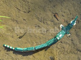 Набор LEGO 31121 Imperious River Dragon (Anguillarex macrophoneus)