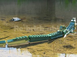 Набор LEGO 31121 Imperious River Dragon (Anguillarex macrophoneus)