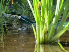 Набор LEGO 31121 Imperious River Dragon (Anguillarex macrophoneus)
