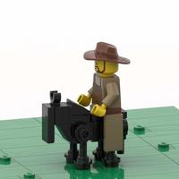 Набор LEGO Donkey