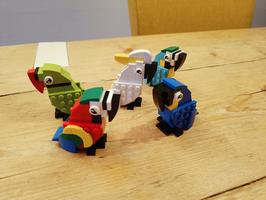 Набор LEGO Ara parade, small size parrots