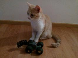 Набор LEGO MOC-31257 Mousecar (toy for cats)