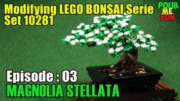 Набор LEGO MOC-75557 Magnolia Stellata Bonsai - Modifying LEGO Bonsai Tree Serie - Set 10281