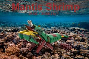 Набор LEGO MOC-79586 Mantis Shrimp 31102 + 31058 2 to 1