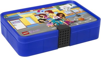 Набор LEGO Sorting Box with Friends Print