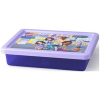 Набор LEGO Storage Box Small with Friends Print