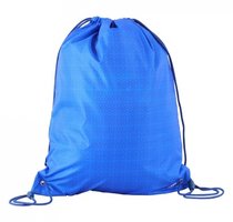 Набор LEGO Blue Bricks Gym Bag