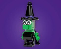Набор LEGO 6565159 Witch