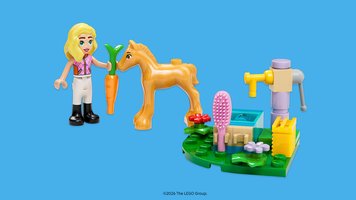 Набор LEGO 6636931 First Friendship