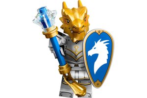 Набор LEGO 71047-4 Dragonborn Paladin