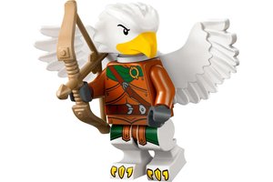 Набор LEGO 71047-6 Aarakocra Ranger