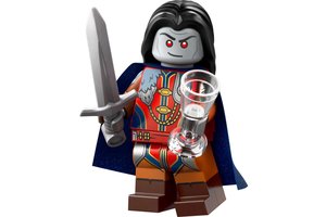 Набор LEGO 71047-8 Strahd von Zarovich