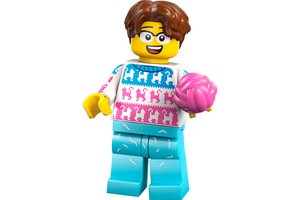 Набор LEGO 71048-11 Cat Lover