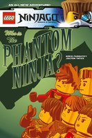 Набор LEGO Ninjago: Volume 10: Who is the Phantom Ninja